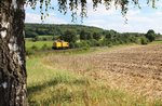 203 301-7 zu sehen am 23.08.16 in Lengenfeld. 