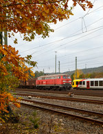 
Die 218 261-6 (92 80 1 218 261-6-D-DBG) der Bahnbau Gruppe (DB Gleisbau) hal am 27.10.2016 als Lz in Betzdorf/Sieg, auf ihrer Fahrt in Richtung Siegen, gerade Hp 0.

Die V 164 wurde 1973 bei Henschel in Kassel unter der Fabriknummer 31738 gebaut und an die DB geliefert, seither wird sie auch als 218 261-6 bezeichnet. Im November 2008 wurde sie z-gestellt und dann an die Deutsche Bahn Gleisbau GmbH verkauft.

Technische Daten:
Achsformel: B'B'
Spurweite: 1.435 mm
Länge: 16.400 mm
Gewicht: 79 Tonnen
Radsatzfahrmasse: 20,0 Tonnen
Höchstgeschwindigkeit: 140 km/h
Motor: Wassergekühlter V 12 Zylinder Viertakt MTU - Dieselmotor vom Typ MA 12 V 956 TB 11 (abgasoptimiert) mit Direkteinspritzung und Abgasturboaufladung mit Ladeluftkühlung
Motorleistung: 2.800 PS (2.060 kW) bei 1500 U/min
Motorhubraum: 114,67 Liter (insgesamt)
Getriebe: MTU-Getriebe K 252 SUBB (mit 2 hydraulische Drehmomentwandler)
Leistungsübertragung: hydraulisch
Tankinhalt: 3.150 l
Bremse: hydrodynamische Bremse KE-GPR2R-H mZ
