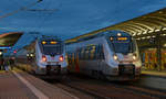 Am Abend des 20.11.16 wartet 1442 302 in Bitterfeld auf die Abfahrt nach Leipzig.