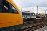 Hier 642 914-6 als RB46 (RB68944) von Cottbus nach Forst(Lausitz), in der Mitte 642 415-4 als OE65 (OE79717) von Cottbus nach Zittau und im Hintergrund 445 103-5 als RE2 (RE83966) von Wismar nach