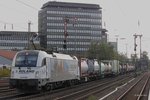 1216 955 Roland Taurus in Düsseldorf Rath, am 15.10.2016.