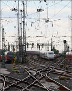 . Gleiskreuzungen in Reihe (mit und ohne Weichen) -

Gleisvorfeld des Frankfurter Hauptbahnhofes. Die 45-minütige Verspätung meines ICEs nach Stuttgart erlaubte das ein und andere Bild an diesem großen Bahnhof. Hier die Einfahrt eines ICE 1 aus Richtung Mannheim.

21.05.2017 (M)

