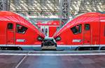 DB Regio Hessen PESA Link Dieseltriebwagen 633 503 und 633 502 am 19.01.19 in Frankfurt am Main Hbf nach einer Testfahrt auf der Dreieichbahn 