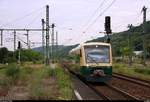 Überraschung: 650 032-4 (Stadler Regio-Shuttle RS1) der Eisenbahn-Bau- und Betriebsgesellschaft Pressnitztalbahn mbH (PRESS) als Tfzf, wahrscheinlich in Richtung Heimat, durchfährt den