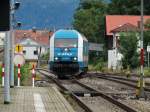 Netinera ALEX 223 072 beim Rangieren am 16.08.14 in Immenstadt