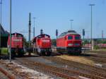 232 384-8 beim Abfahren in Marktredwitz am 22.07.13.