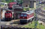 232 088 steht am 20.07.2013 mit ein paar Gravitas in Saalfeld (Saale) abgestellt.