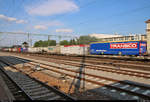 Zahlreiche Flachwagen der Hupac AG mit Containern und Sattelaufliegern sind im Bahnhof Singen(Hohentwiel) abgestellt.