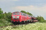 218 319-2 zieht mit 218 390-3 ihren AUtozug durch Keitum nach Westerland.

Keitum 03.06.2021