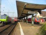 5 Faches Zugtreffen in Worms Hbf.