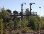 Neben der Schmalspurbahn scheint es nun in Zittau auch eine  Waldbahn  zu geben,zum Glück befinden sich die Signale auf einer Signalbrücke, sonst wär das Signalbild Hp0 bald nicht mehr zu erkennen.   31.08.2016 08:39 Uhr.