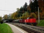 Der Bahnhof von Bad Herrenalb nach der Ankunft des Dampfzuges am 31.10.2011, die Diesellok 461 der AVG wurde als Bremslok mitgefhrt.