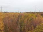 Im bunten Herbstwald auf dem ehemaligen BW Wedau sind die Gleise noch relativ frei.