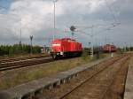 298 312 brachte am 10.August 2010 am Schlu 155 105 von Stralsund nach Mukran mit.