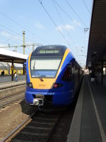 Cantus Stadler Flirt 428 002 am 13.05.16 in Fulda Bhf