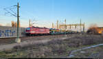 Autotransportzug (ARS Altmann AG) mit 143 250-9 passiert Halle(Saale)Hbf in nördlicher Richtung.