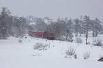 218 436-4 bei dichtem Schneefall kurz hinter Lindau in Richtung Friedrichshafen.