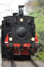 Die Lokomotive Speyerbach im Dezember 2011 in Neustadt an der Weinstraße.