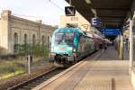 182 013  BUGA 2015 In der Havelregion  mit dem RE1 (RE 18111) von Magdeburg Hbf nach Frankfurt(Oder) in Potsdam Hbf. 05.12.2015