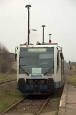 Der TW der Ruhrtalbahn ausfahrend , Bahnhof Pretzsch.
Es hat sich herumgesprochen, die Einstellung des ÖPNV scheint beschlossene Sache,
ein anderer Bahnfotograf  ist ebenfalls beim Ablichten. 15.11.2014 11:45 Uhr.