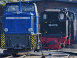 Die Schmalspur-Diesellokomotive 251 901-5 mit einigen Dampfrössern im Hintergrund, so gesehen Anfang April 2019 am Bahnhof Putbus.
