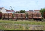 Blick auf einen mit Holz beladenen Flachwagen der Gattung  Sngs  (37 80 4724 123 D-DB) der DB, der in einem Holzzug mit 246 011-1 (246 049-2)  Wir können mehr als nur Dampf machen!  der