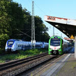 Der Elektrotriebzug 3429 018 kommt gerade in Wuppertal-Unterbarmen an und wird auf dem Ferngleis vom Elektrotriebzug 657 überholt. (August 2023)