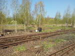 Ehemaliger Eisenbahnknoten Rochlitz(traurig aber war)23.04.2015  Güterbahnhof,Ladegleise  