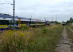 Die Natur hat schon lange die Freiladegleise  des Bahnhofes Lwenberg (Mark) zurckerobert.Da umfangreiche Streckenertchtigung im Gange ist, knnten Diese   Bilder bald der Vergangenheit angehren.