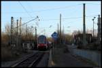 In Markkleeberg Mitte am B Rathausstrae kreuzen die Straenbahn der Linie 9 und die  Waldbahn  Gaschwitz - Plagwitz niveaugleich.