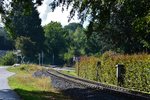 Die Vennbahn schlängelt sich über zahlreiche unbeschrankte Bahnübergänge durchs Aachener Land.