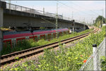 Auf dem abgesenkten Gleis unterwegs -    Das westliche Ende des Verzweigungsbauwerkes für die Rems- und Murrbahn.