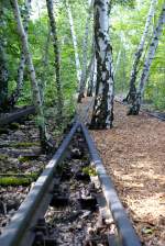 Natur-Park Schneberger Sdgelnde. War Teil des Rangierbahnhofs Tempelhof. In knapp 50 Jahren hat sich dort eine kleine Naturoase entwickelt. 05.07.2008