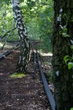 Natur-Park Schneberger Sdgelnde. Wo man hinschaut nur grn und rostige Gleise. In den Schienen wurden Wege eingearbeitet. 