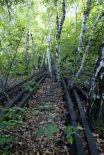 durch zufall entdeckt. Ein stillgelegtes Bahngelnde zwischen Berlin Sdkreuz und Priesterweg, es nennt sich Natur-Park Schneberger Sdgelnde. Zu erreichen direkt vom S-Bahnhof Priesterweg 