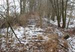 24.2.2013 Oderbruchbahn zwischen Kienitz und Gro Neuendorf (Blickrichtung), rechts ein Kilometer- oder Grenzstein. (Keine Zeichen drauf)