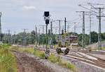 Blick auf ein ausgekreuzte Vorsignal sowie das leere Gleisbett in Meinsdorf Gleis 2. Das Gleis wird am Zweigpunkt der Strecken von Rodleben und von Dessau neu verlegt und neu eingefädelt.

Meinsdorf 24.07.2020