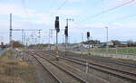 Der Bahnübergang und die Lichtsignale, mit Blick Richtung Magdeburg, am 16.02.2024 in Rodleben.