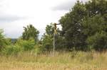 Dieses Bahnbergangberwachungssignal wird wohl an dieser Stelle niemehr seinen Zweck erfllen, da die Strecke von Baal-Gterbahnhof nach Ratheim stillgelegt ist.