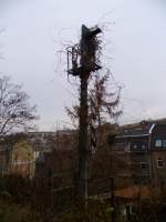 In Greiz (auf der Strecke Greiz- Werdau) wo die Gleise längst weg sind, steht noch dieses Signal. Gesehen am 26.11.11.