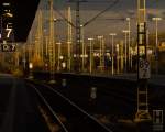  Mastenwald mit Schildern  oder  Sptnachmittag in Gelsenkirchen Hbf  (27.11.12)