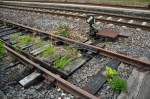 Alte Weiche im Bahnhof Satzvey/Eifel - 07.07.2011