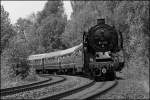 01 118 hat einen Dampfzug vorhin die Rampe hinaufgeschleppt und rollt nun am Zugschluss dem Bahnhof von Neuenmarkt-Wirsberg entgegen. (22.05.2010)