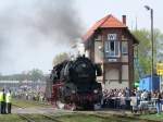 03 2204 in Wolsztyn (Polen) auf der Dampflokparade am 30.4.05