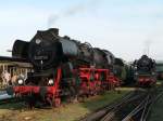 52 8177-9 und 35 1019-5 warten in Wolsztyn auf ihre Abfahrt nach Hause. Dampflokfest Wolsztyn, 30.4.2005