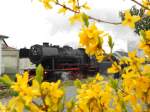 Dampflok 23 042 an Ostern 2012 zwischen Bensheim und Worms als Nibelungen Express.