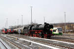 Halloren-Express 41 1144 der IGE „Werrabahn Eisenach“ e.