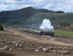 50 2740 mit Sonderzug von Gerolstein nach Ulmen am 2. April 2010 bei Pelm.