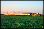 52 8154 des Eisenbahnmuseum Leipzig mit dem Sonderzug Leipzig - Staßfurt. Aufgenommen auf der Rückfahrt nach Leipzig, am Haltepunkt Schkeuditz-West am 16.10.2016.