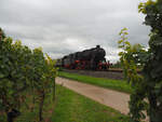 58 311 der Ulmer Eisenbahnfreunde zieht einen Dampfzug von Landau nach Neustadt/W., aufgenommen vor dem Bahnhof Edesheim.